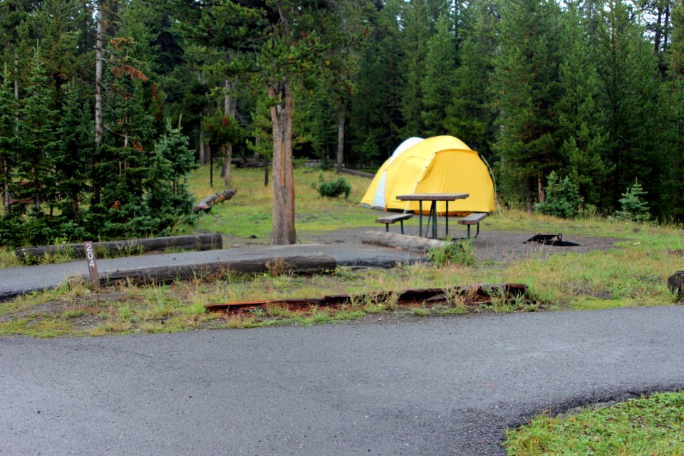 Bridge Bay Campground site