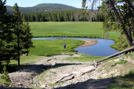 Gibbon River as seen from Norris Campground