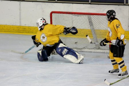 Bracknell Firebees Vs Basingstoke Bison Ladies