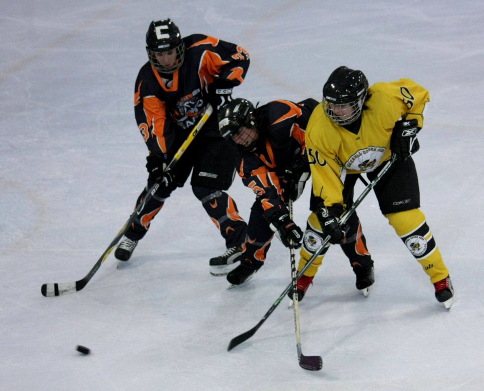 Bracknell Firebees Vs Basingstoke Bears
