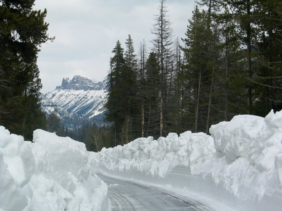 East Entrance Road, Single Cut (5)