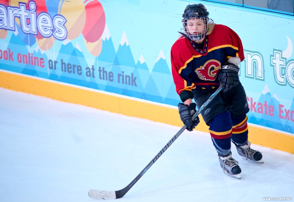 Ice Hockey: Guildford Lightning At Milton Keynes Falcons