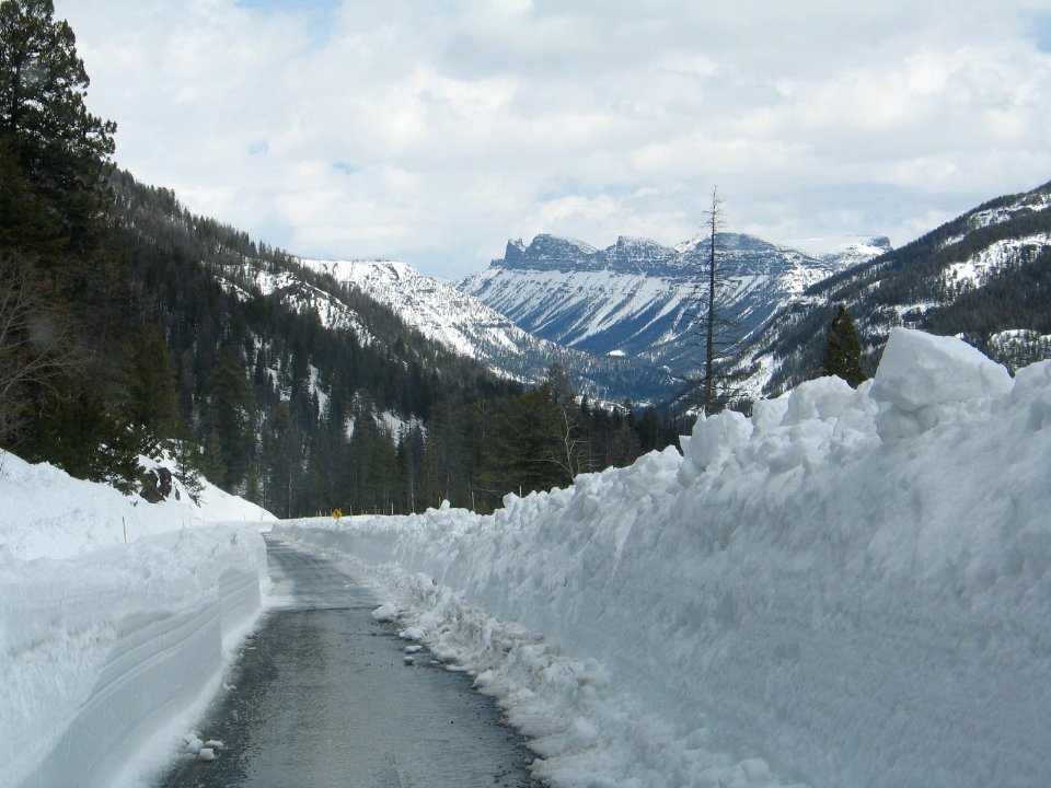 Single Cut on East Entrance Road