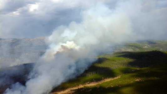 Maple Fire August 12, 2016