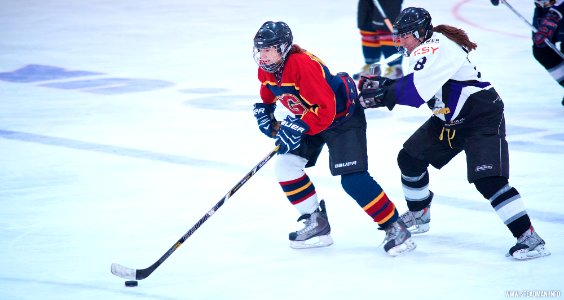 Ice Hockey: Guildford Lightning At Milton Keynes Falcons