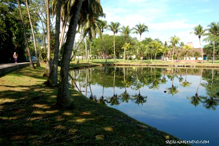 DSC 0228