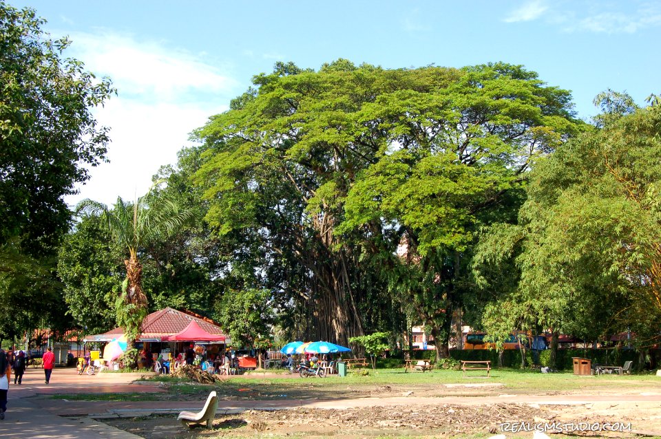 DSC 0162