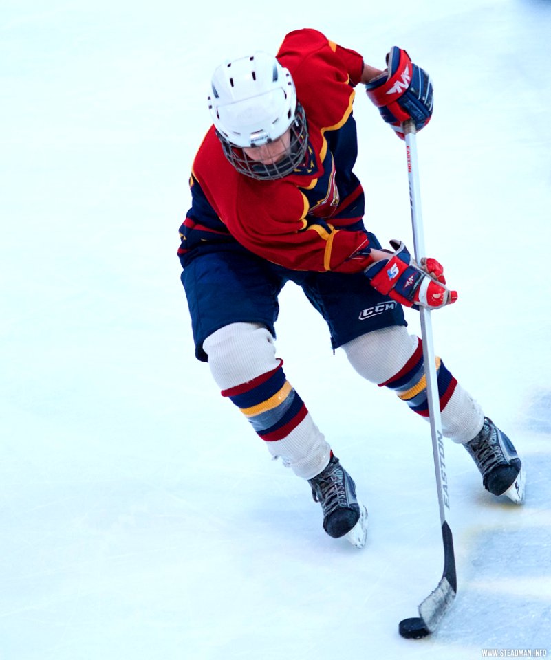 Ice Hockey: Guildford Lightning At Milton Keynes Falcons