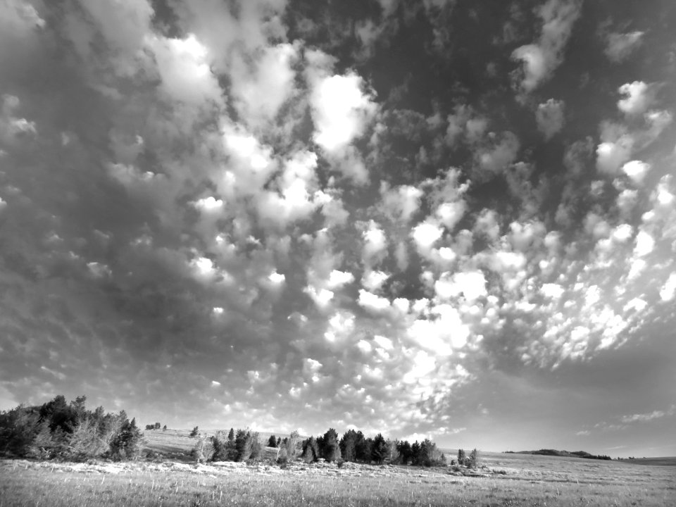 024 - CAMPSITE EAST OF DEAD INDIAN PASS, WYOMING - BW