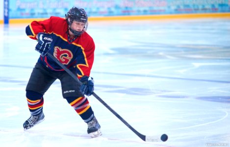 Ice Hockey: Guildford Lightning At Milton Keynes Falcons