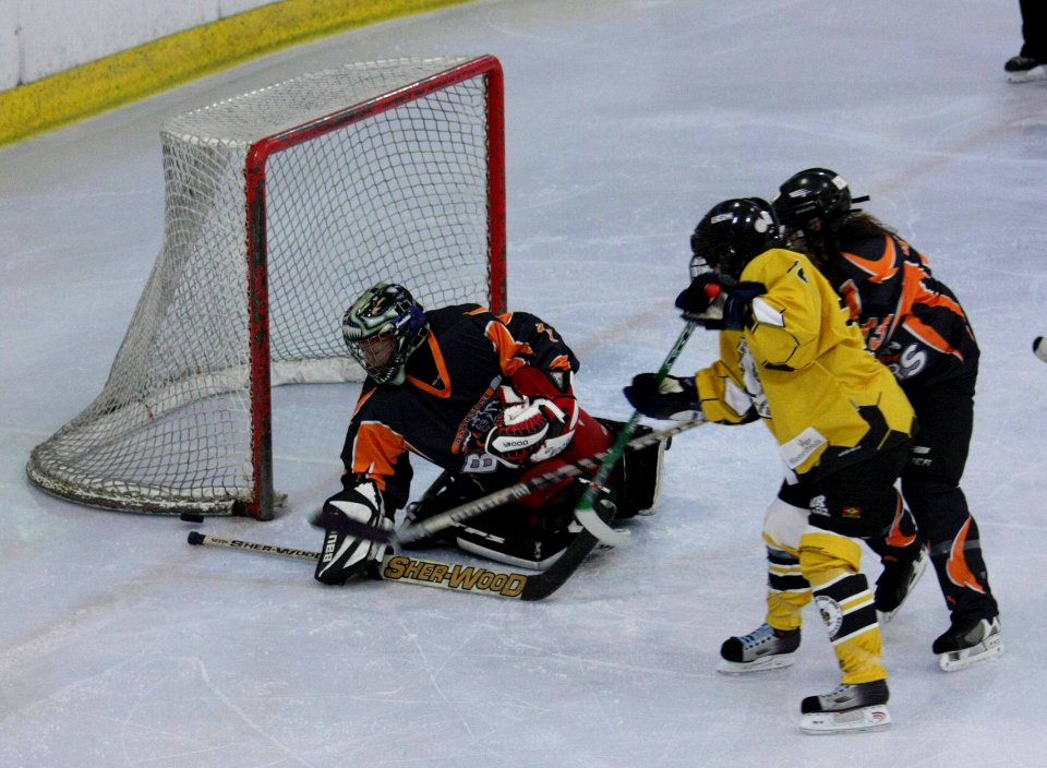 Bracknell Firebees Vs Basingstoke Bears