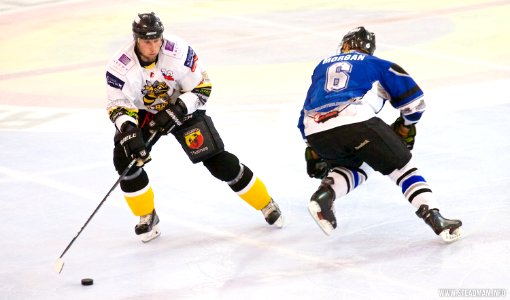 Bracknell Bees Vs Sheffield Steeldogs