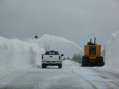 Grizzly Overlook Drift (2) photo