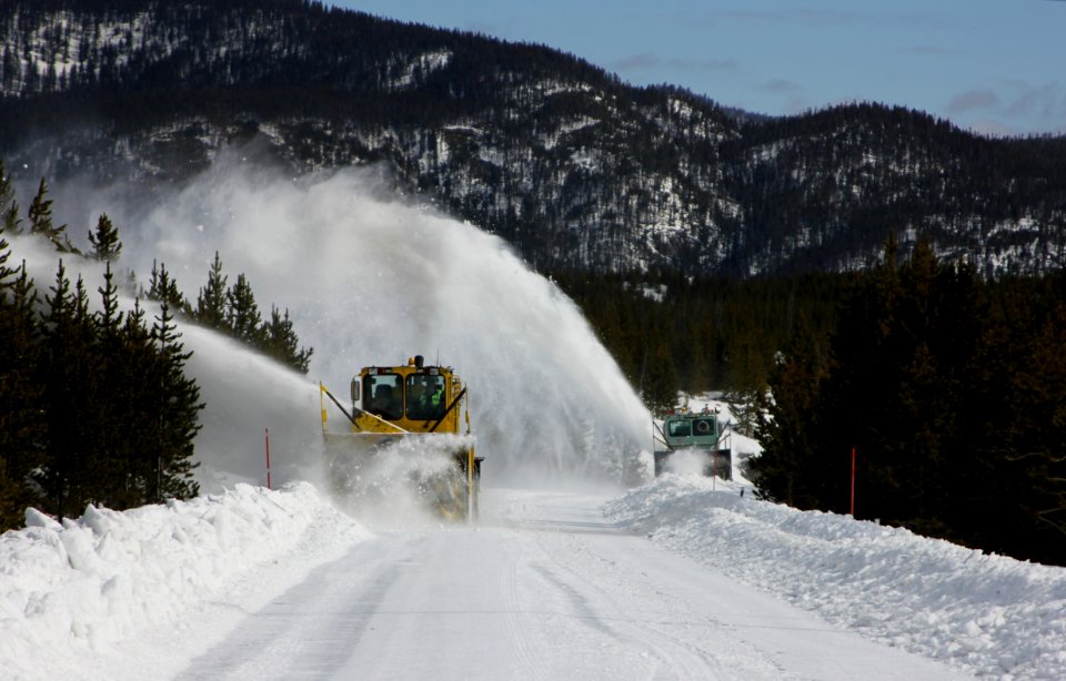 Clearing Madison to Old Faithful Road (image #1854)