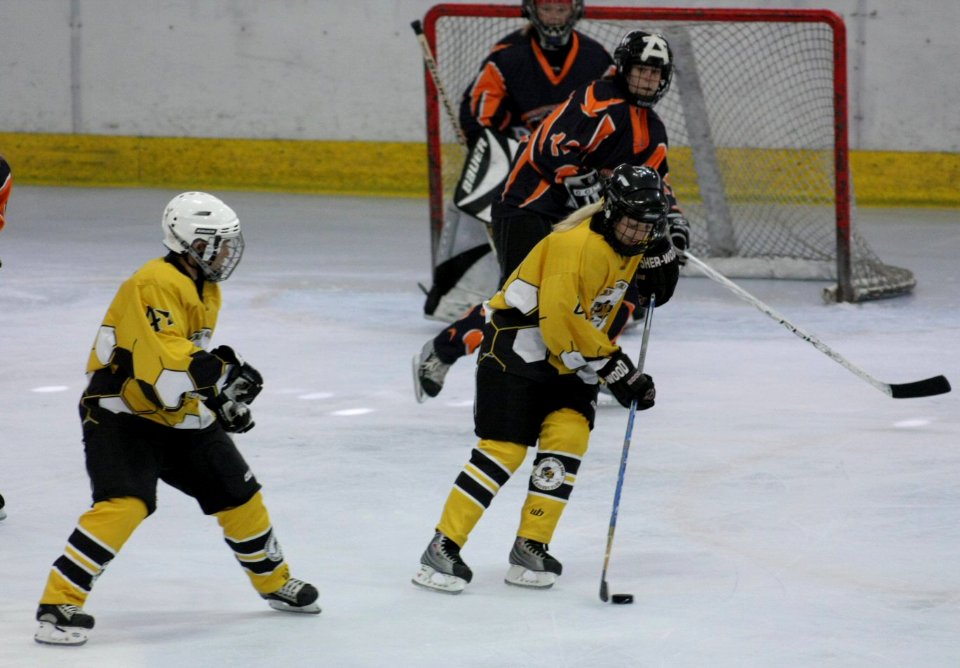Bracknell Firebees Vs Basingstoke Bears