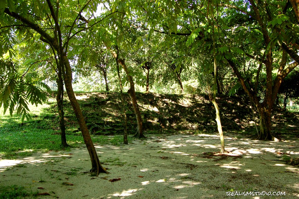 DSC 0217