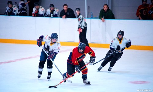 Ice Hockey: Guildford Lightning At Milton Keynes Falcons