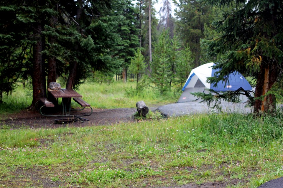 Bridge Bay Campground site
