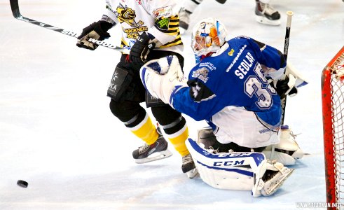 Bracknell Bees Vs Sheffield Steeldogs