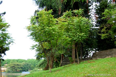 DSC 0125