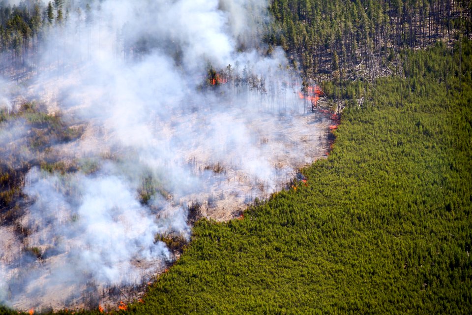 Maple Fire, August 15, 2016