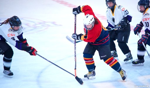 Ice Hockey: Guildford Lightning At Milton Keynes Falcons
