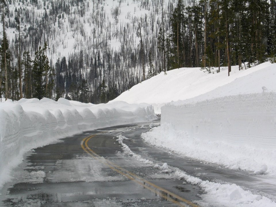 Dozer wind row on Sylvan Pass (2)