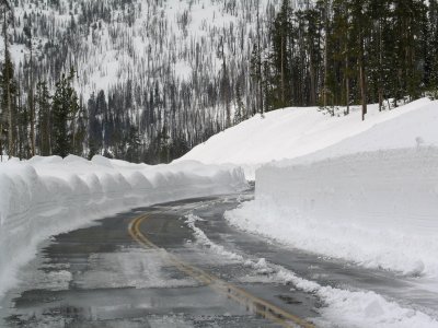 Dozer wind row on Sylvan Pass (2)