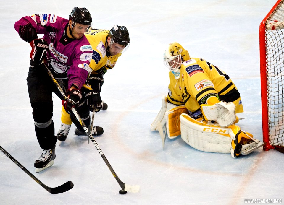Bracknell Bees Vs Manchester Phoenix