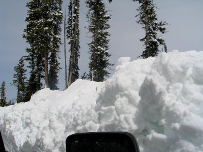 Snow above the snow stake at Lewis River