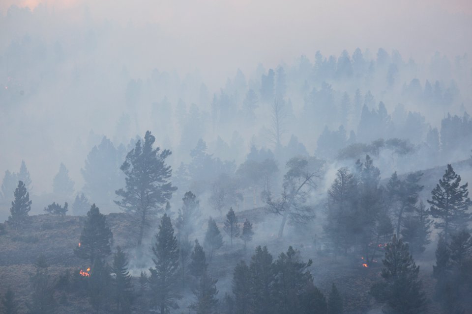 The Buffalo Fire at Slough Creek