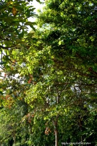 DSC 0167
