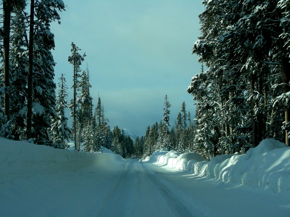 Headed into Grant Village (4)
