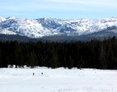 Skiers on Fawn Pass Trail