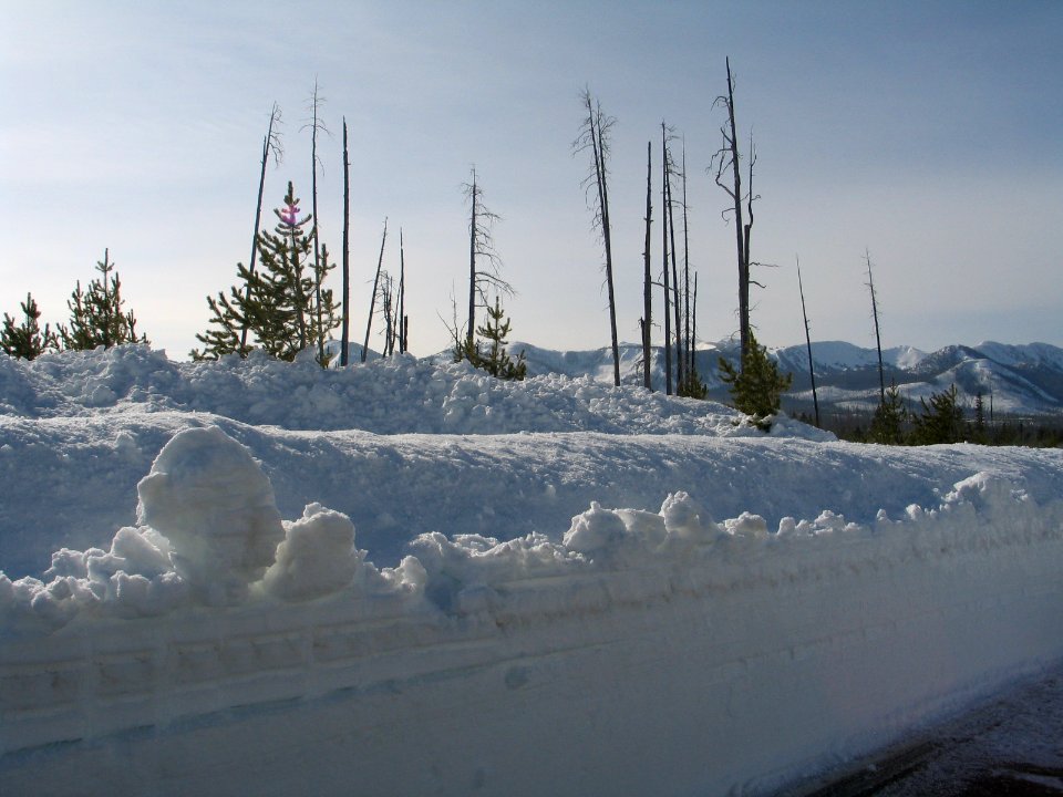 Hill North of Lewis Lake (2)