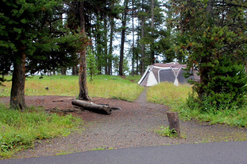 Bridge Bay Campground site