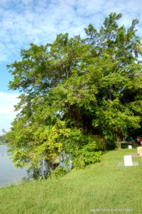 DSC 0139