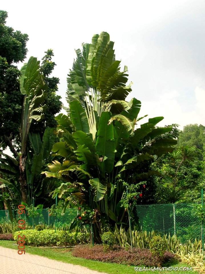DSCN0440