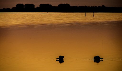 untitled-0074120