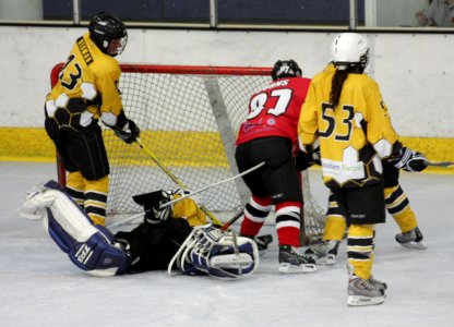 Bracknell Firebees Vs Basingstoke Bison Ladies