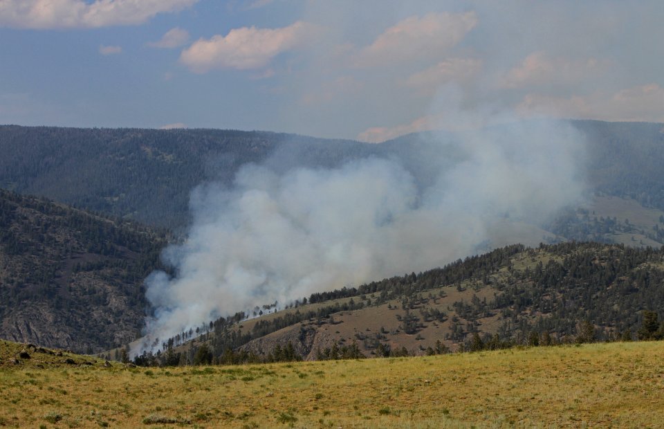 Blacktail Fire 2012