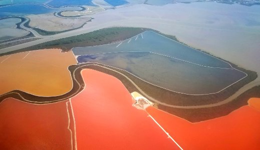 SOUTH (SAN FRANCISCO) BAY SALT PANS (6-8-2019) -2