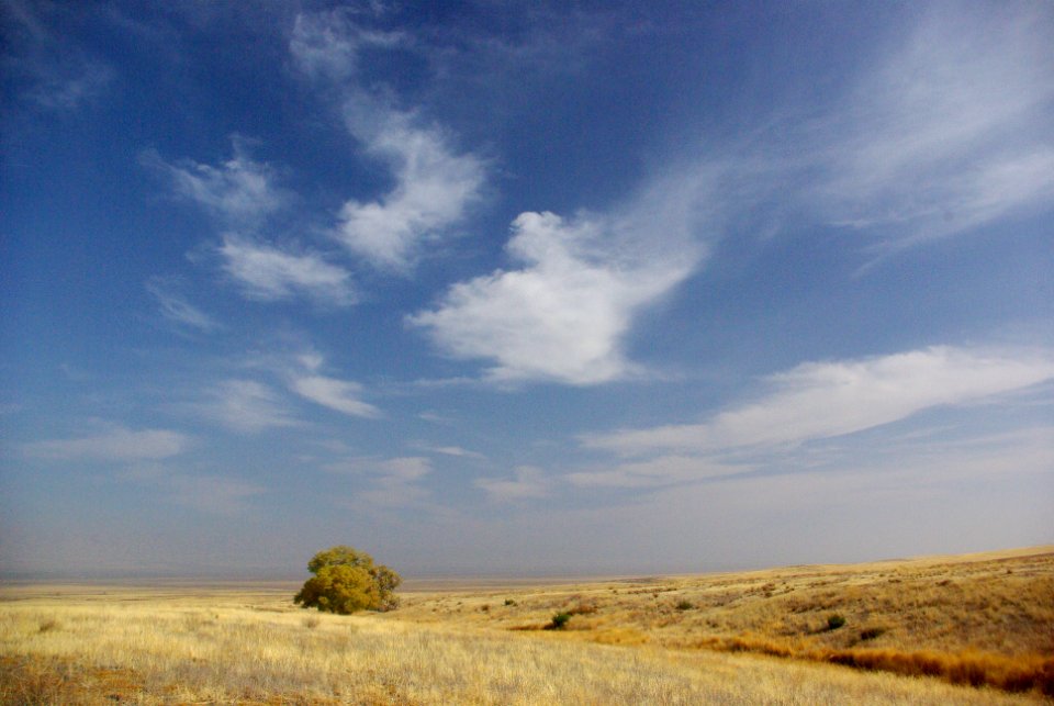 Saucito Ranch Grasslands -001