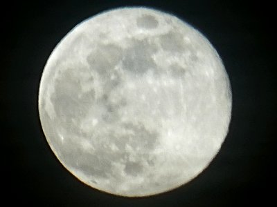 April: "Seed Moon", "Pink Moon", "Sprouting Grass Moon", "Egg Moon" (c.f. "Goose-Egg" in Beard 1918), "Fish Moon"