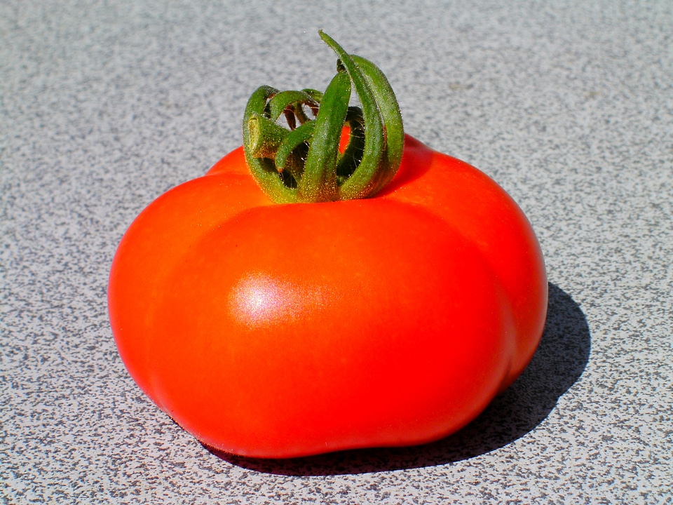 Cash food vegetable