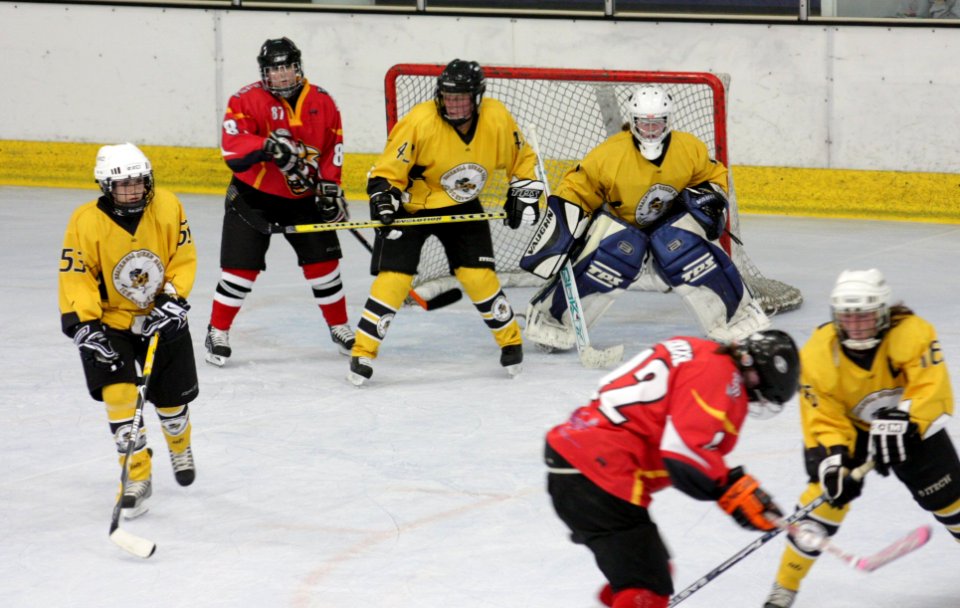 Bracknell Firebees Vs Basingstoke Bison Ladies