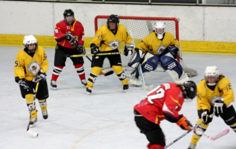 Bracknell Firebees Vs Basingstoke Bison Ladies