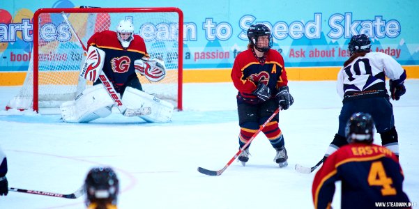 Ice Hockey: Guildford Lightning At Milton Keynes Falcons