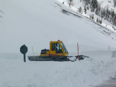 Bombardier at Sylvan Pass parking lot