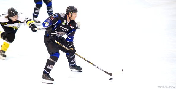 Ice Hockey - Bracknell Bees Vs Sheffield Steeldogs